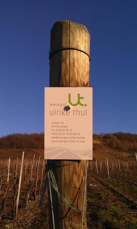 Ferienweingut Ulrike Thul Apartment ไลเวน ภายนอก รูปภาพ