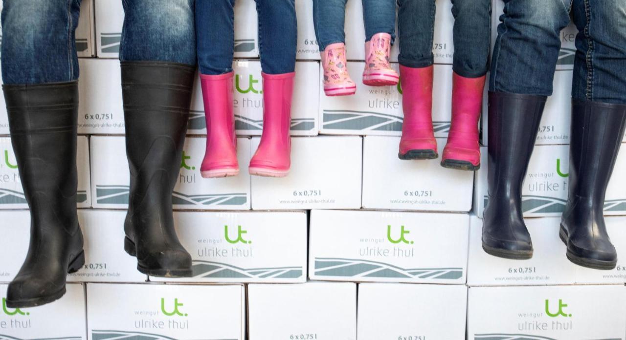 Ferienweingut Ulrike Thul Apartment ไลเวน ภายนอก รูปภาพ